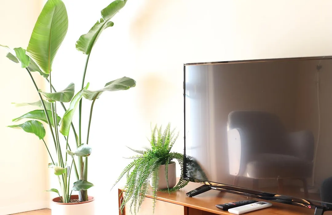 Bamboo Milano Inama-1